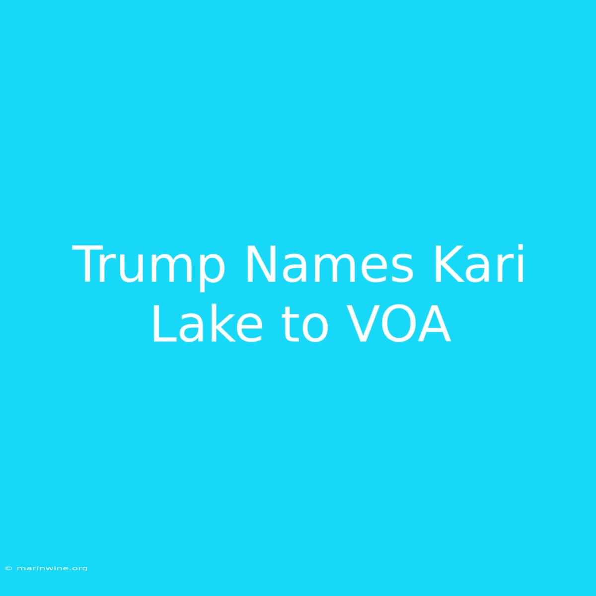 Trump Names Kari Lake To VOA