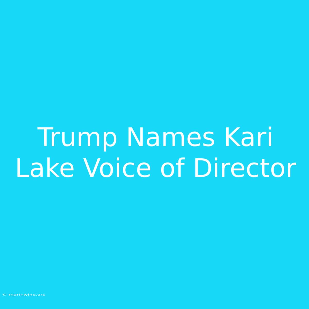 Trump Names Kari Lake Voice Of Director