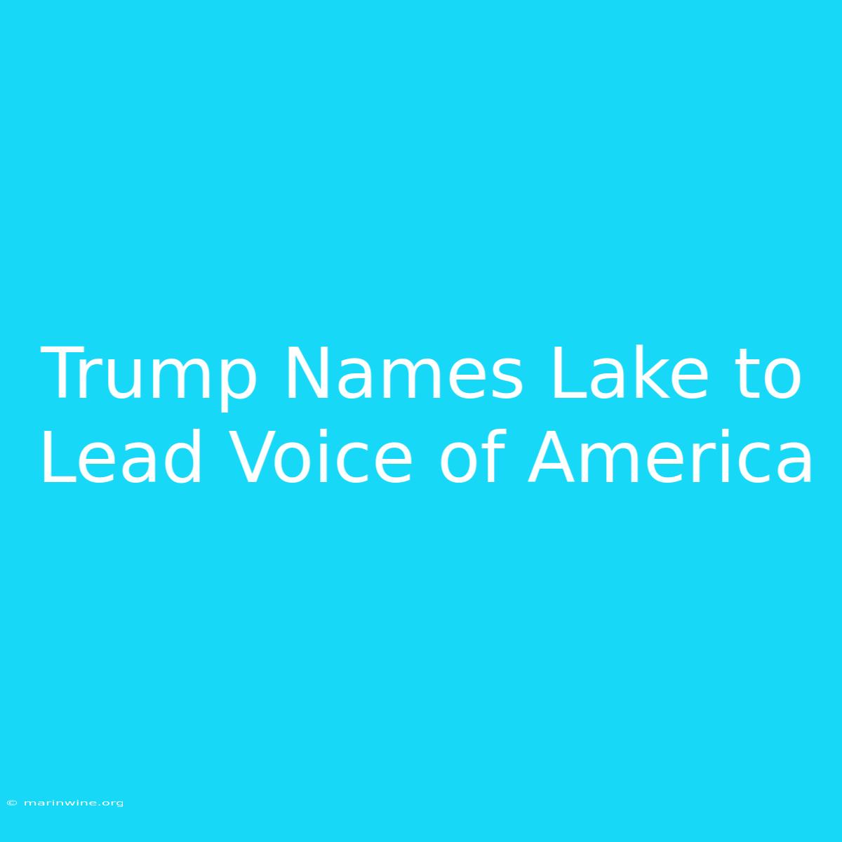 Trump Names Lake To Lead Voice Of America