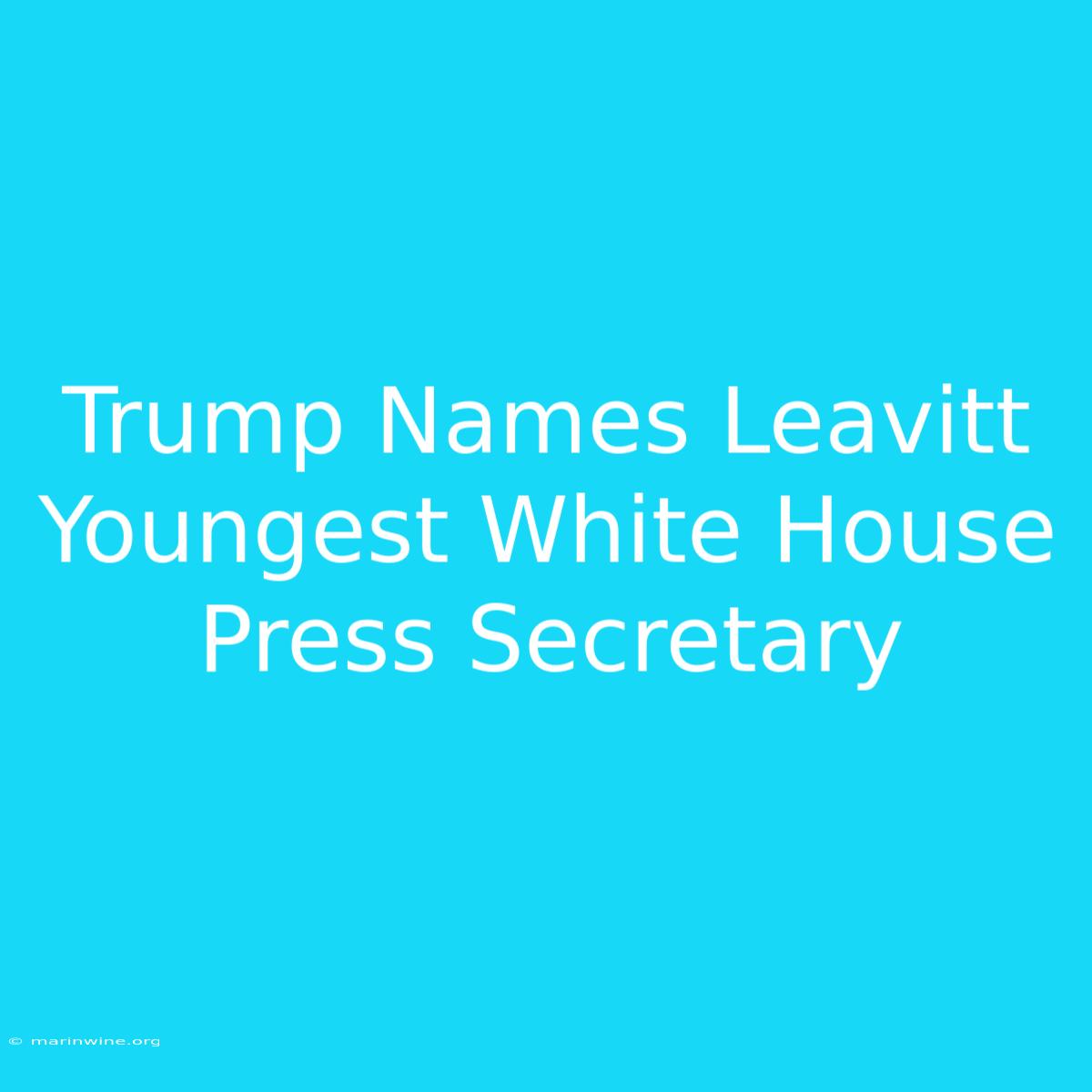 Trump Names Leavitt Youngest White House Press Secretary