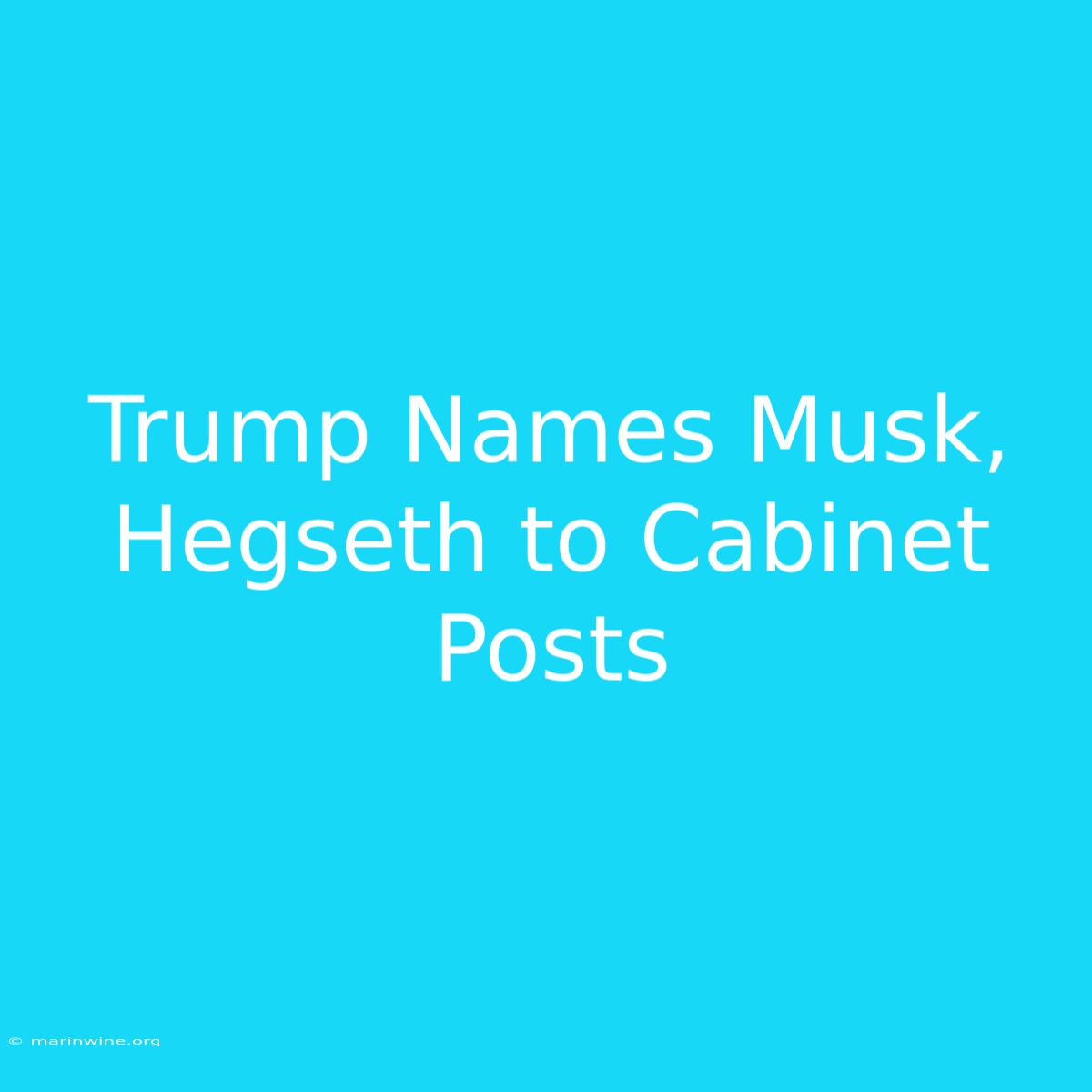 Trump Names Musk, Hegseth To Cabinet Posts