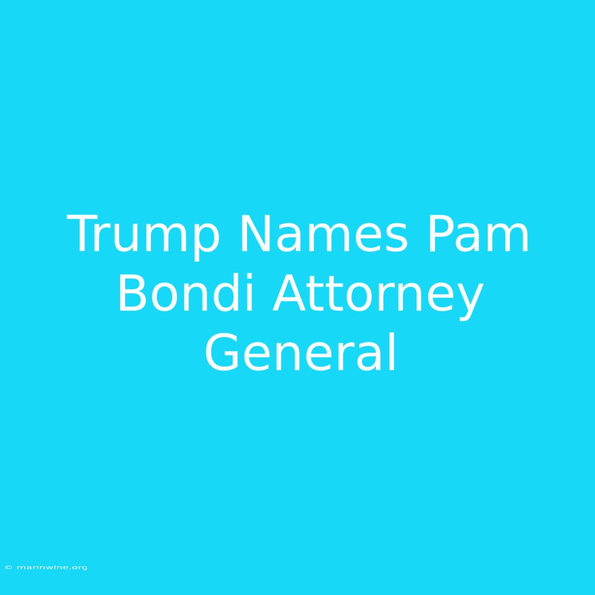 Trump Names Pam Bondi Attorney General