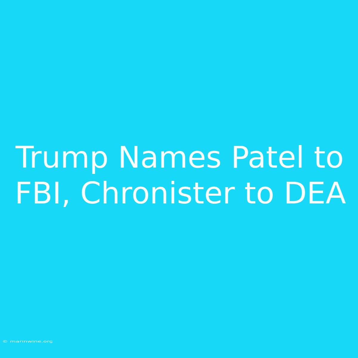 Trump Names Patel To FBI, Chronister To DEA