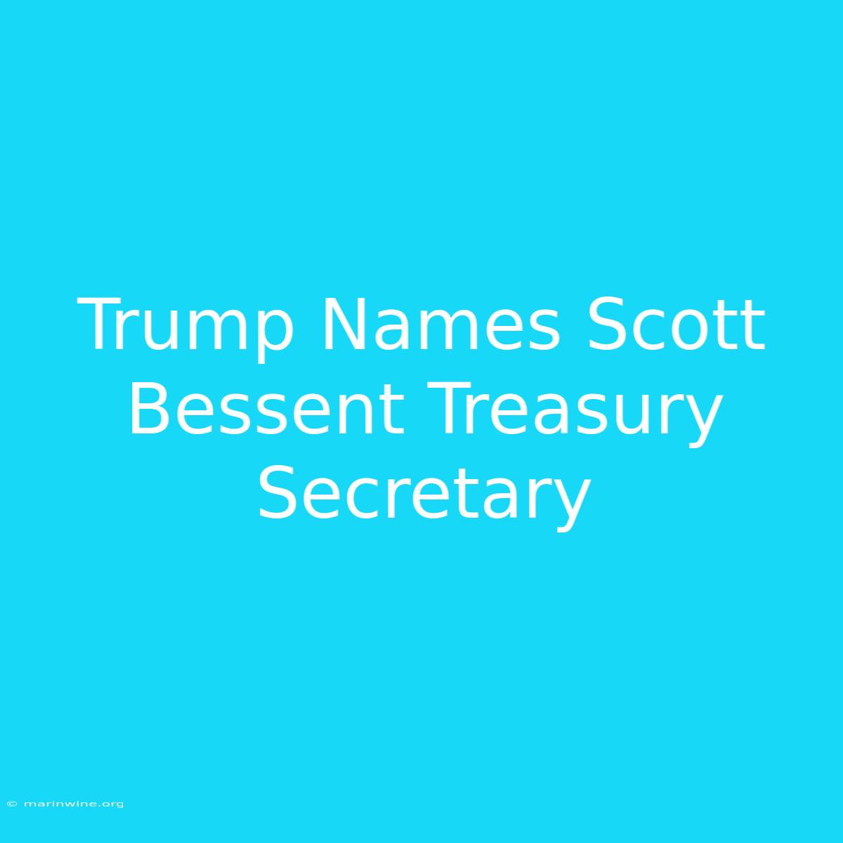 Trump Names Scott Bessent Treasury Secretary