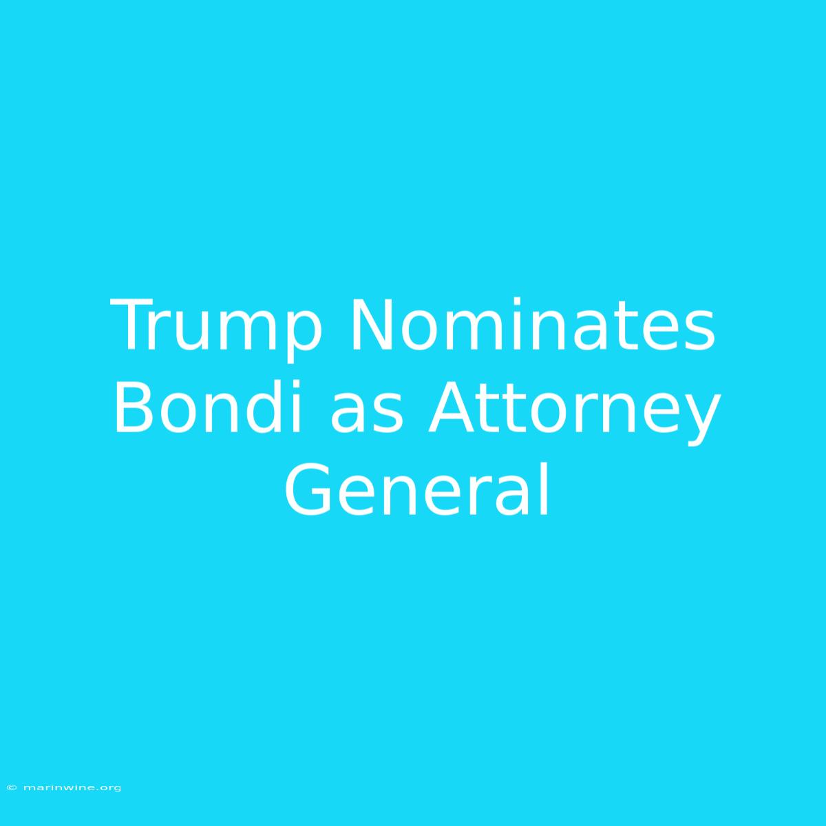 Trump Nominates Bondi As Attorney General