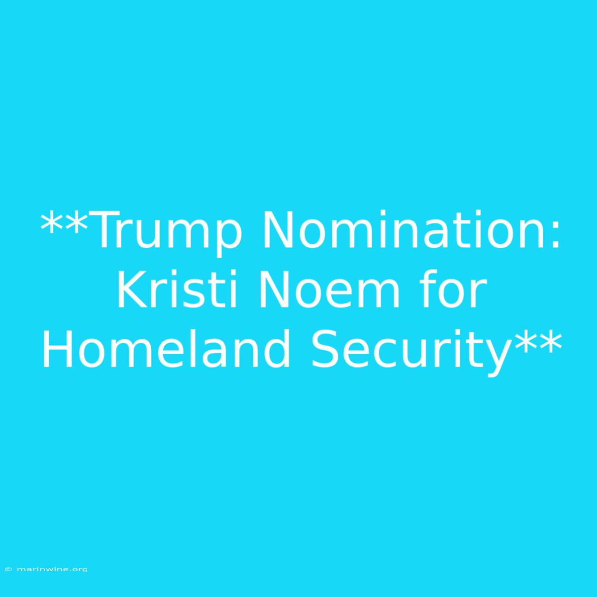 **Trump Nomination: Kristi Noem For Homeland Security** 