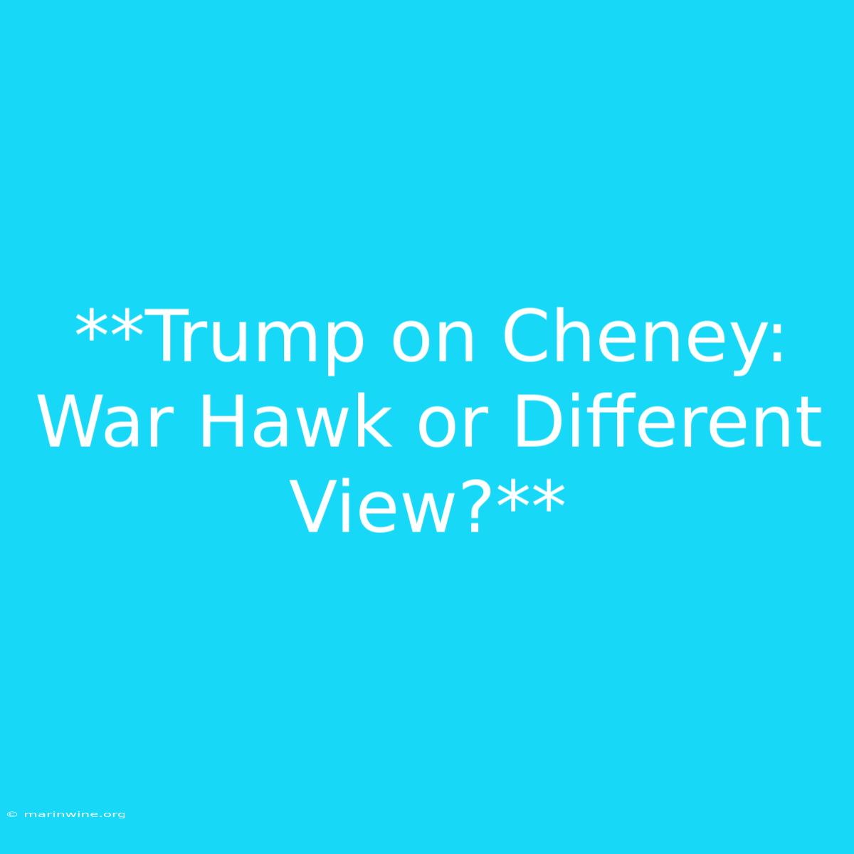 **Trump On Cheney: War Hawk Or Different View?**