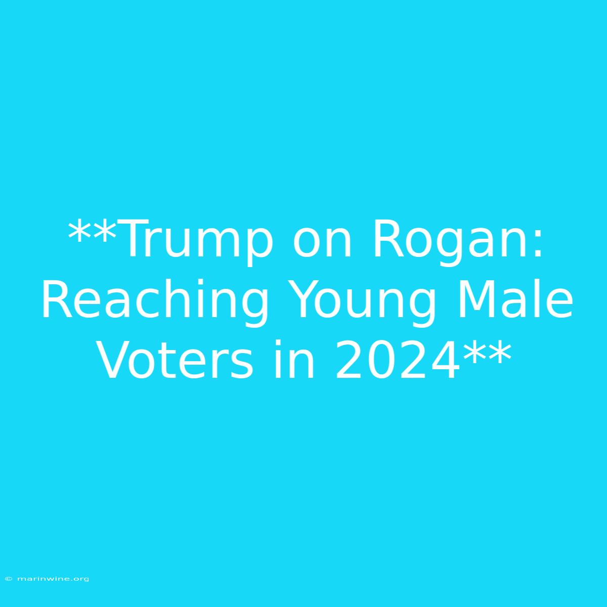 **Trump On Rogan: Reaching Young Male Voters In 2024** 