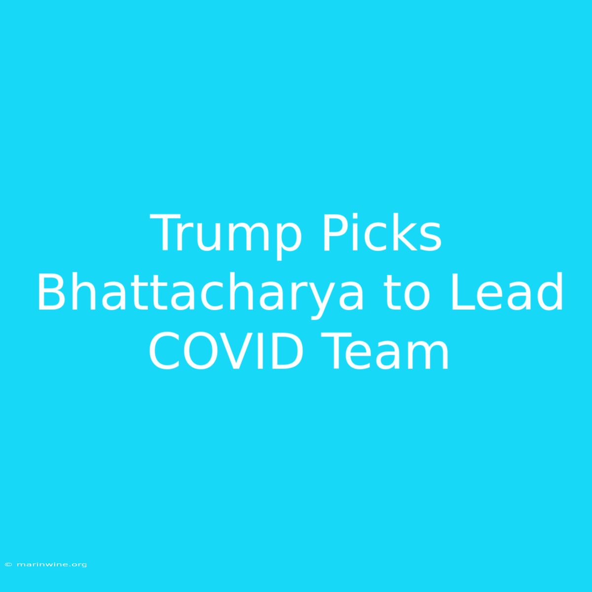 Trump Picks Bhattacharya To Lead COVID Team