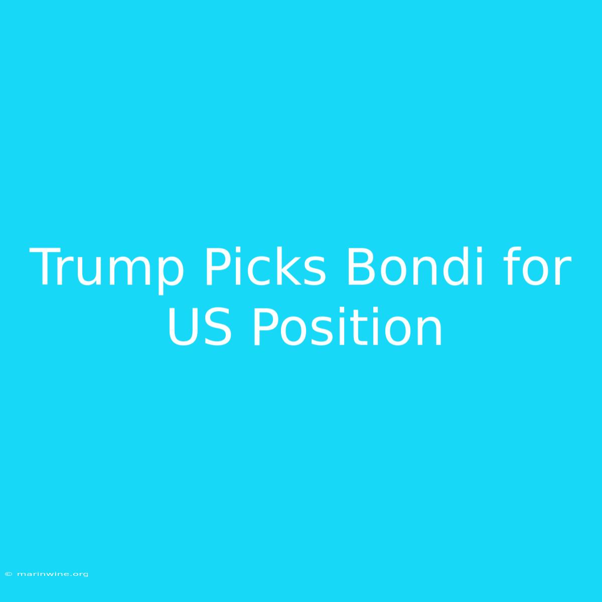 Trump Picks Bondi For US Position