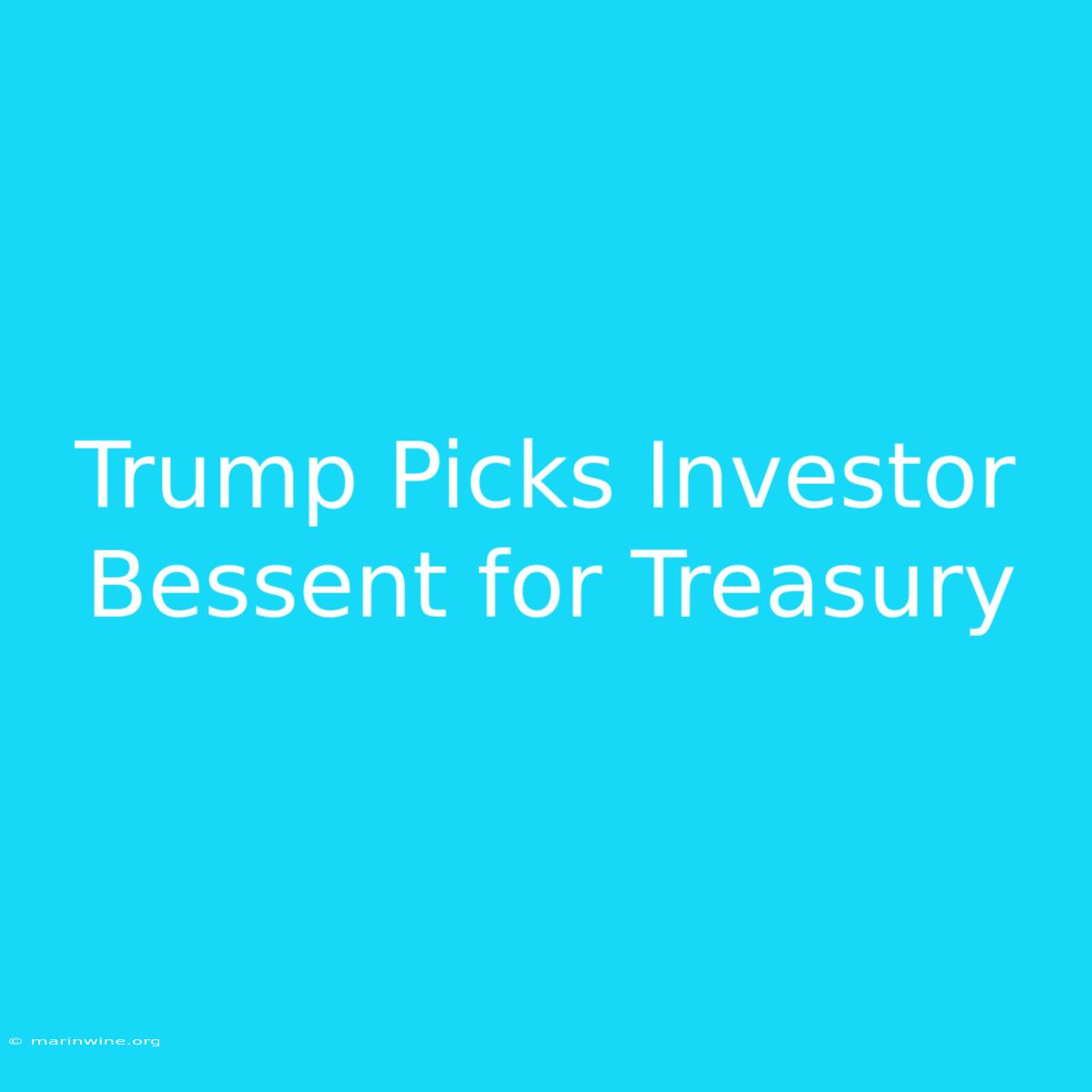 Trump Picks Investor Bessent For Treasury