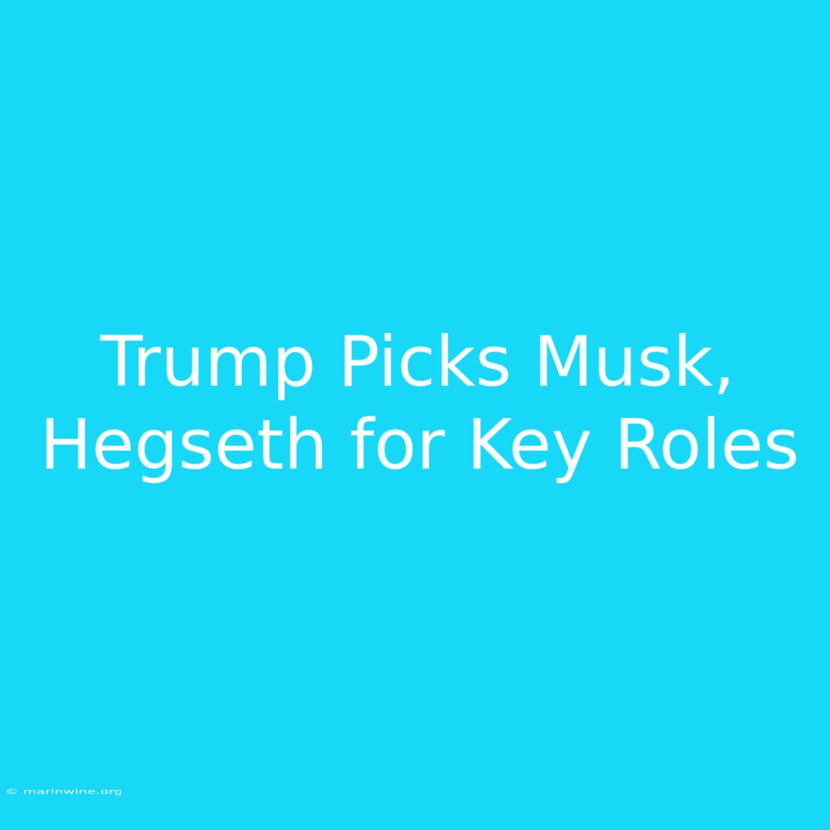 Trump Picks Musk, Hegseth For Key Roles