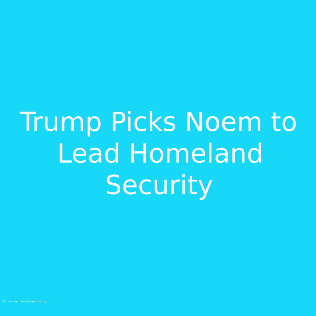 Trump Picks Noem To Lead Homeland Security 