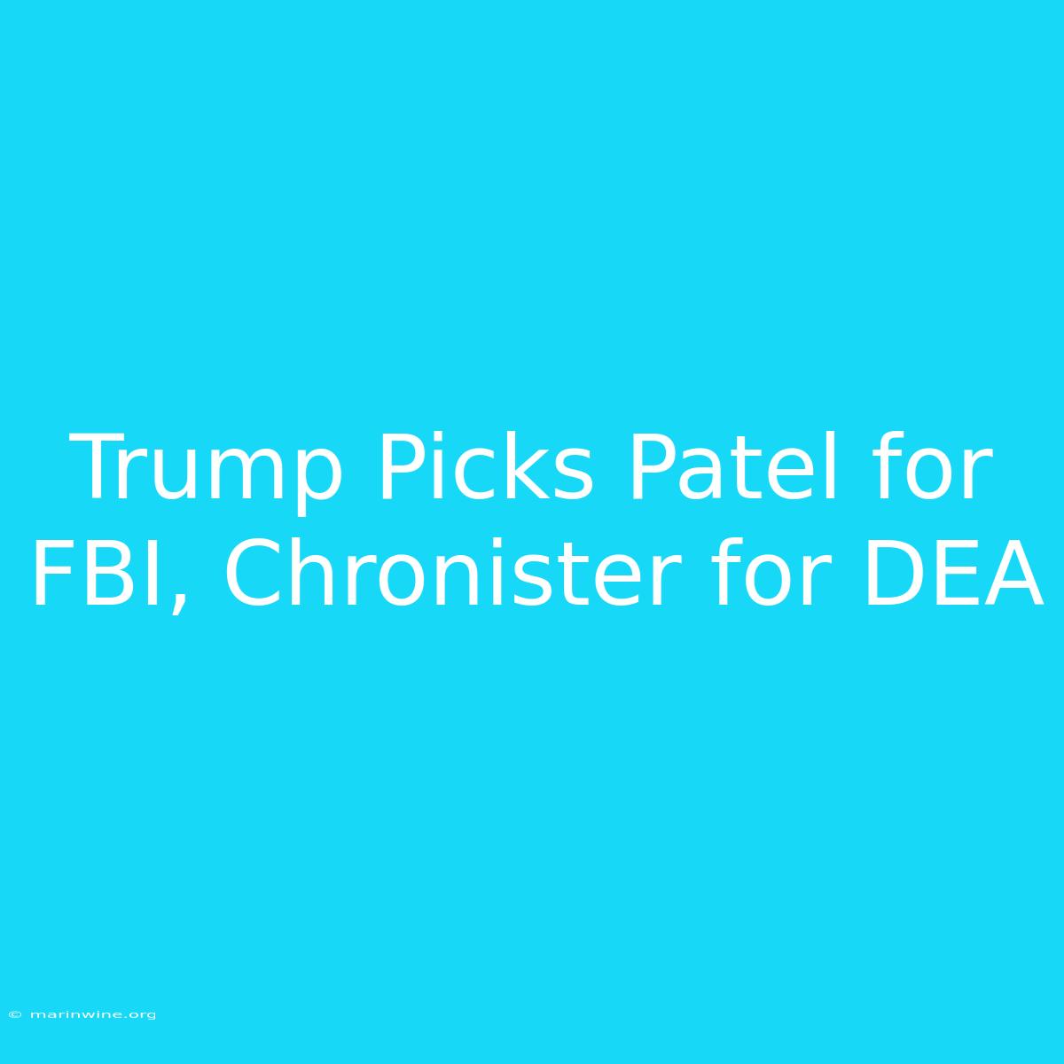 Trump Picks Patel For FBI, Chronister For DEA