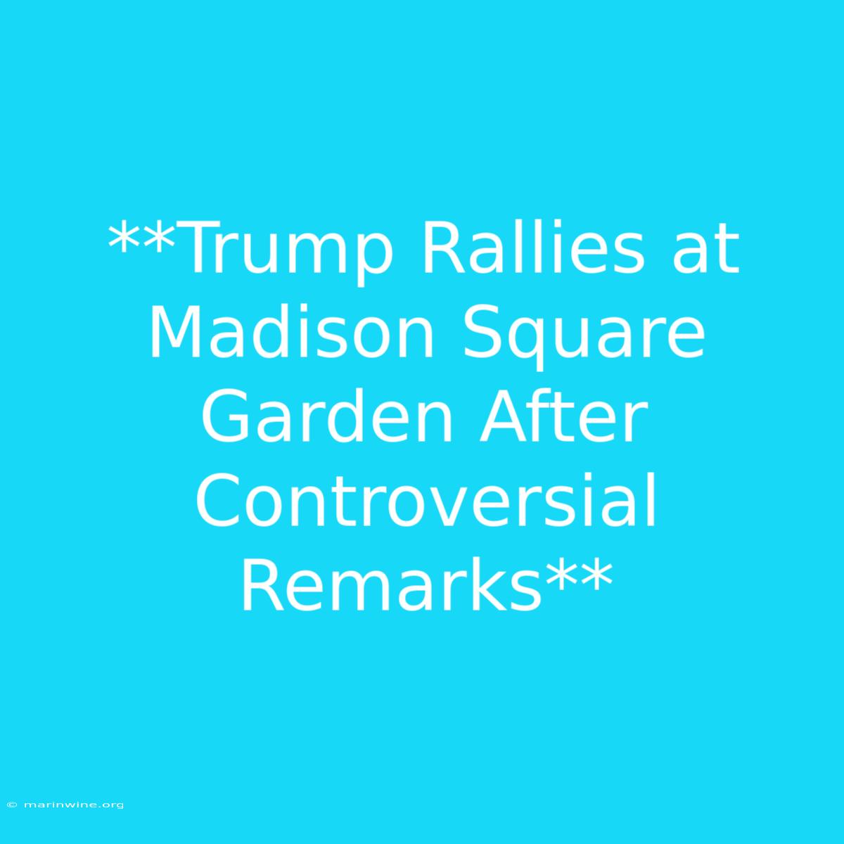 **Trump Rallies At Madison Square Garden After Controversial Remarks**