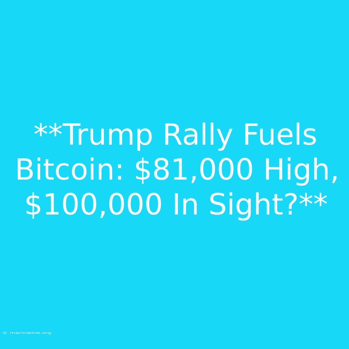 **Trump Rally Fuels Bitcoin: $81,000 High, $100,000 In Sight?** 