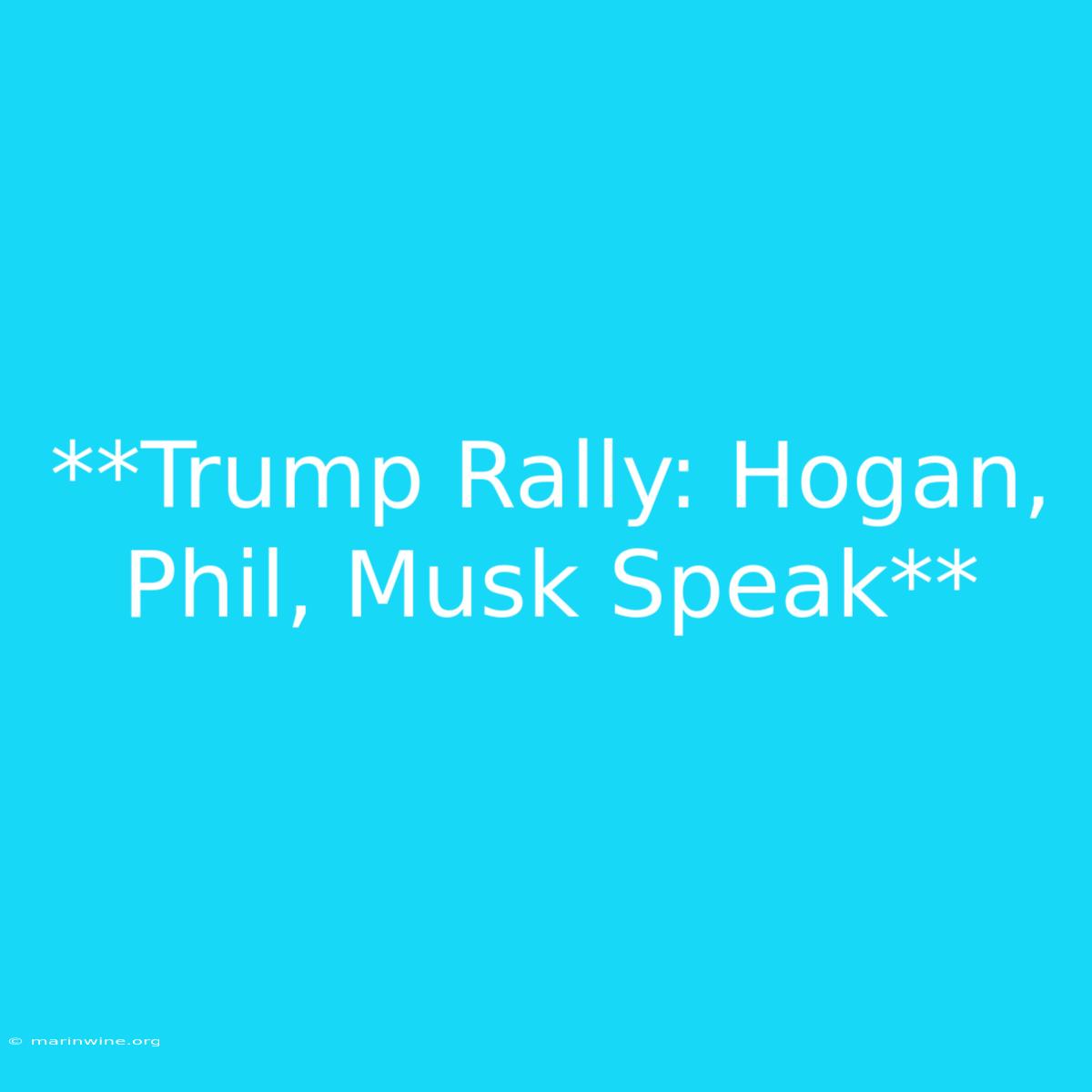 **Trump Rally: Hogan, Phil, Musk Speak**