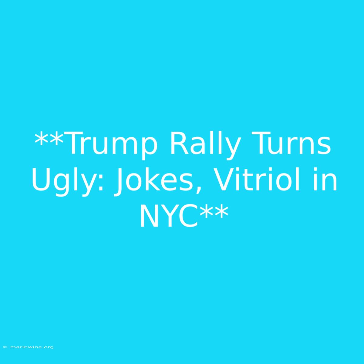 **Trump Rally Turns Ugly: Jokes, Vitriol In NYC**