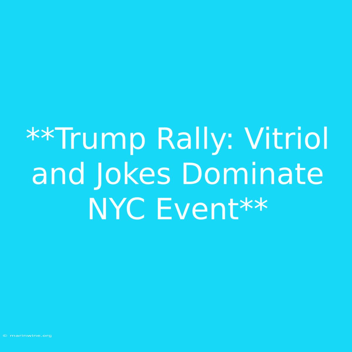 **Trump Rally: Vitriol And Jokes Dominate NYC Event** 