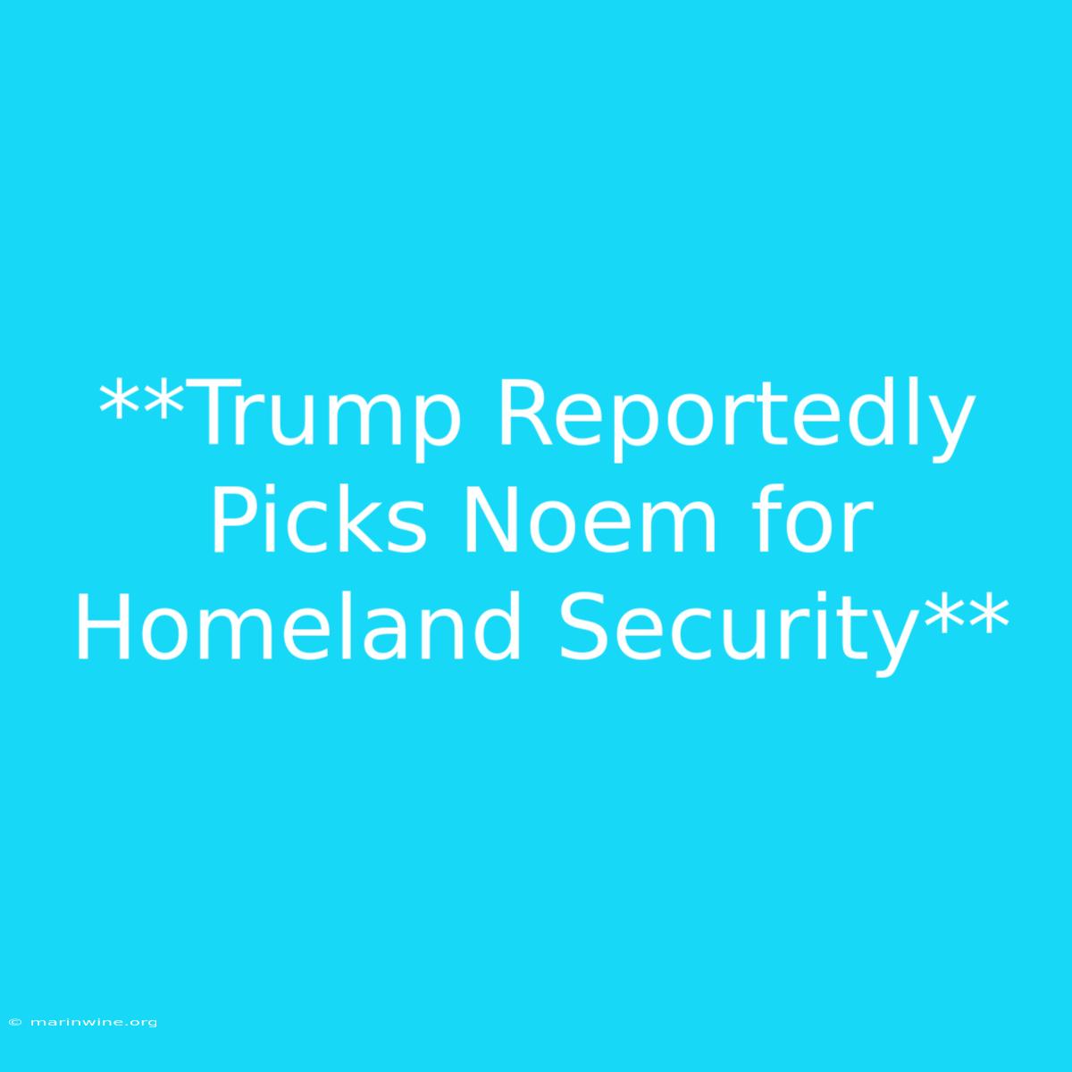 **Trump Reportedly Picks Noem For Homeland Security**