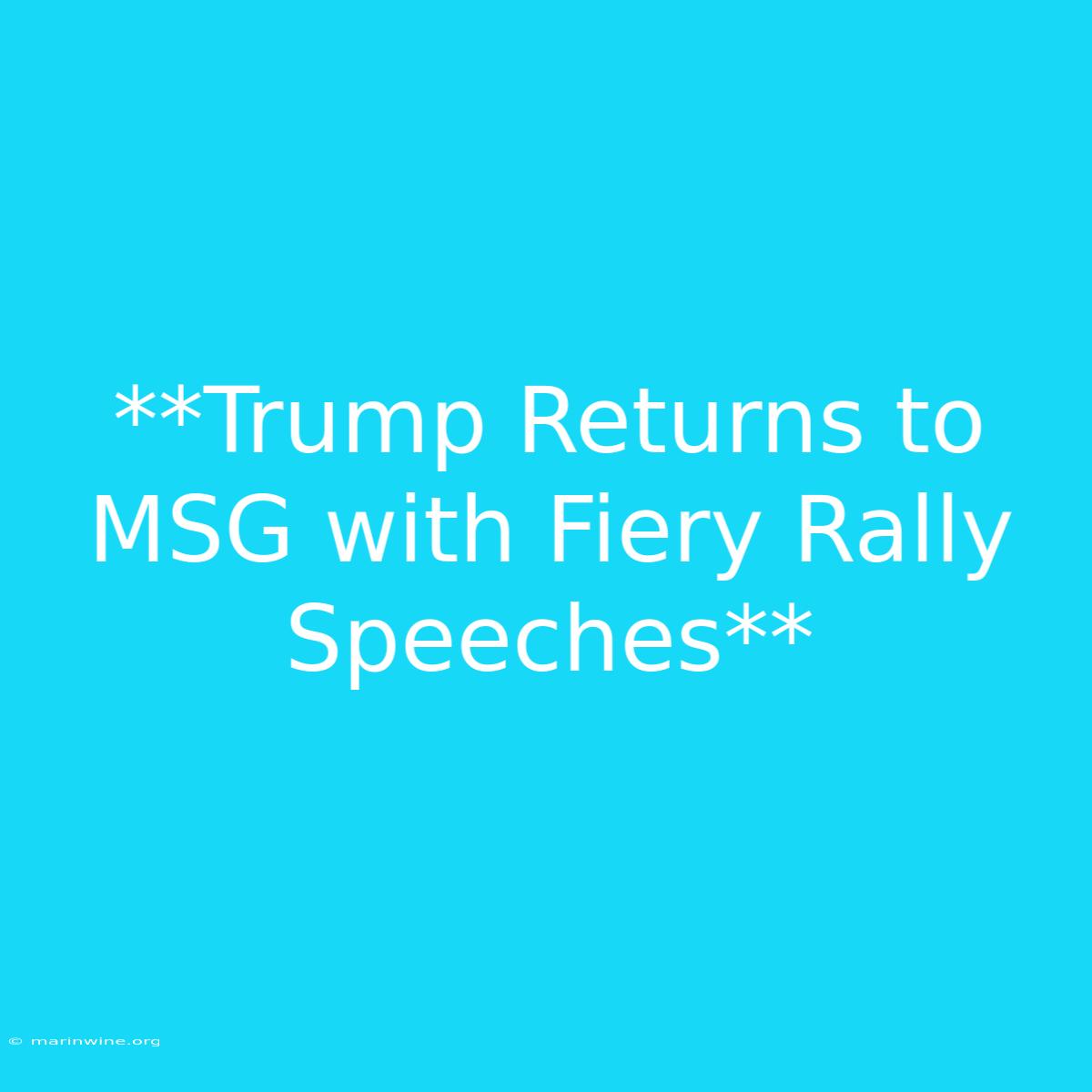 **Trump Returns To MSG With Fiery Rally Speeches** 