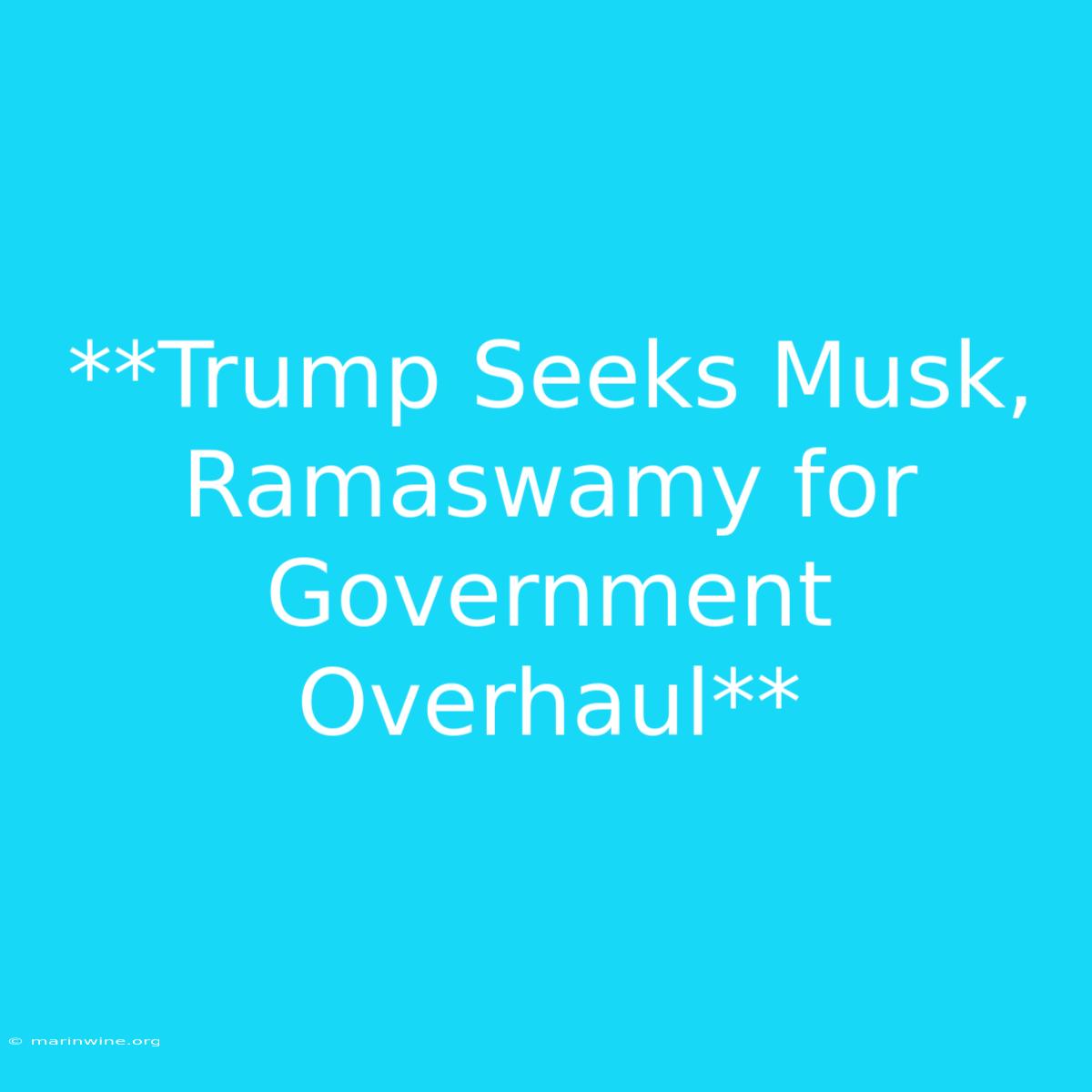 **Trump Seeks Musk, Ramaswamy For Government Overhaul**