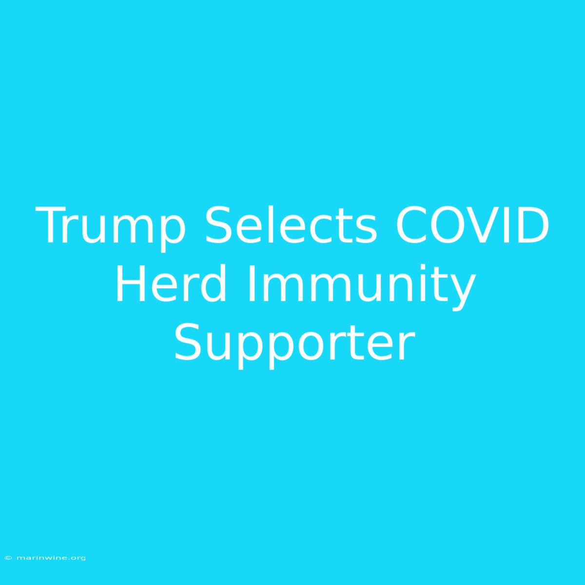 Trump Selects COVID Herd Immunity Supporter