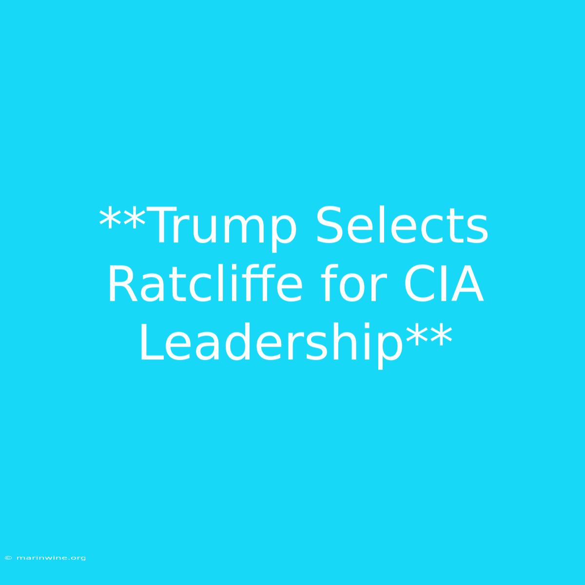 **Trump Selects Ratcliffe For CIA Leadership** 