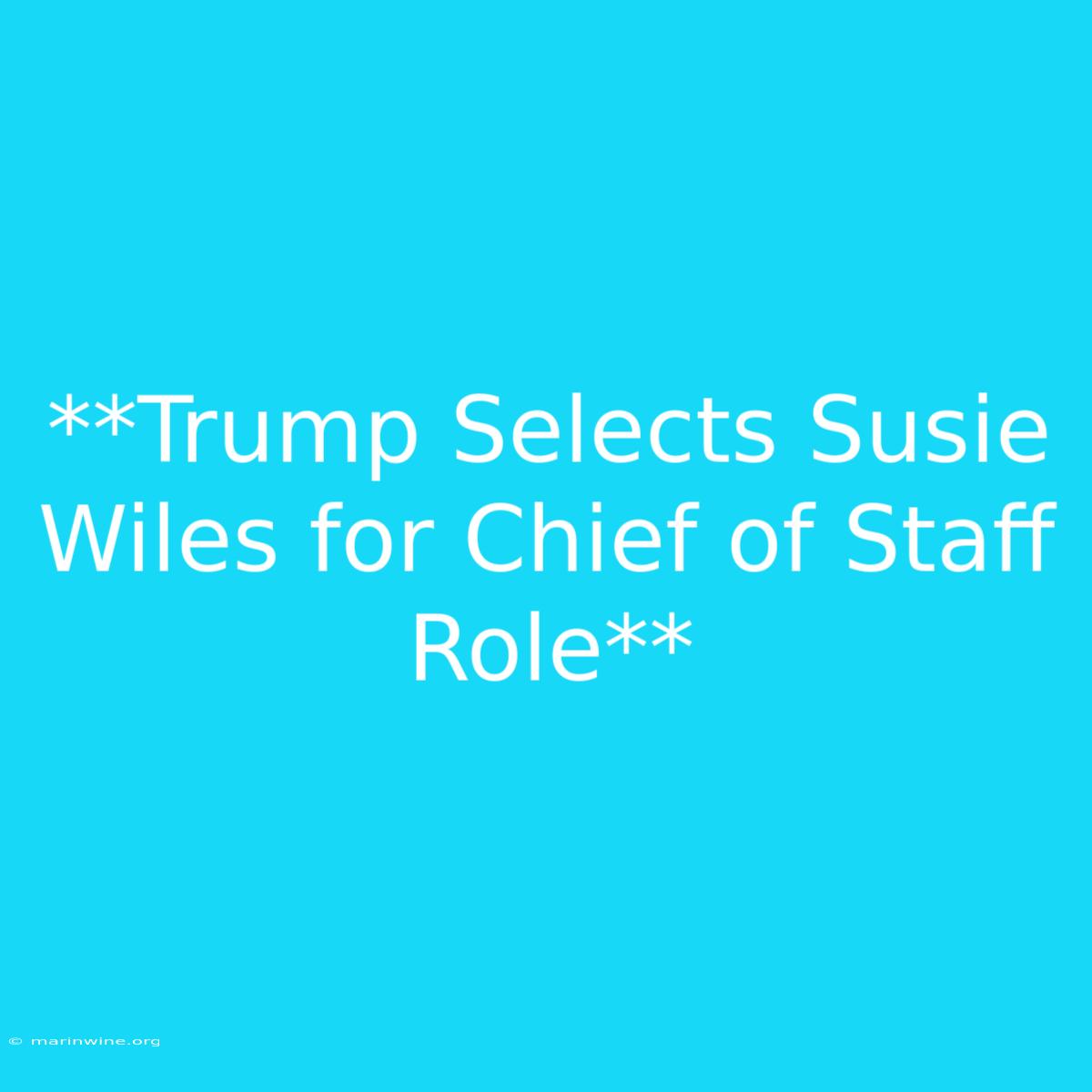 **Trump Selects Susie Wiles For Chief Of Staff Role** 