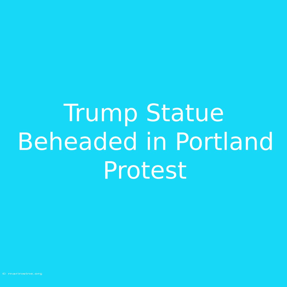 Trump Statue Beheaded In Portland Protest