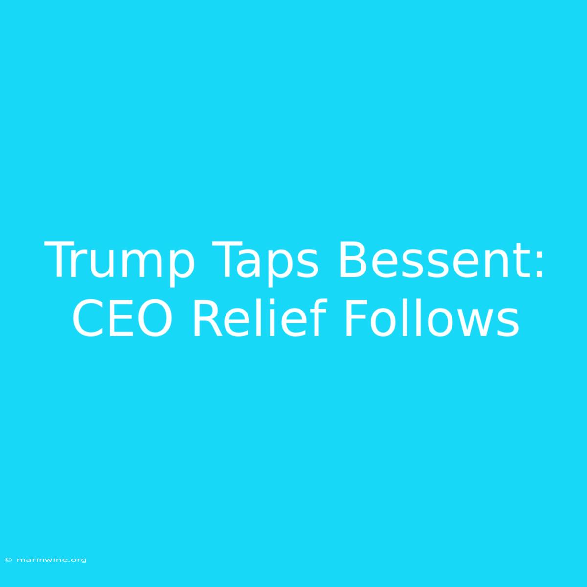 Trump Taps Bessent: CEO Relief Follows