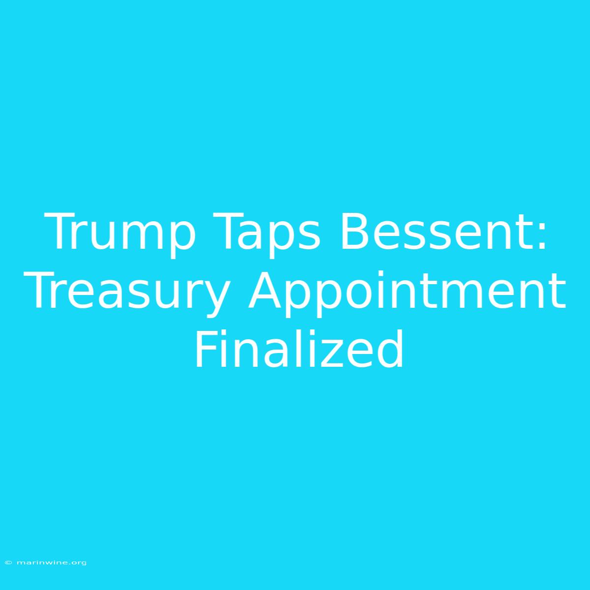 Trump Taps Bessent: Treasury Appointment Finalized