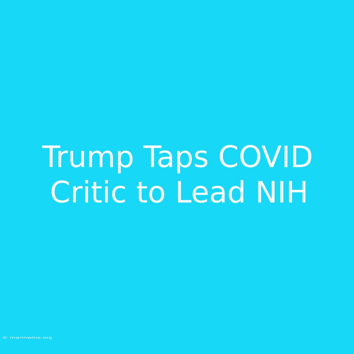 Trump Taps COVID Critic To Lead NIH