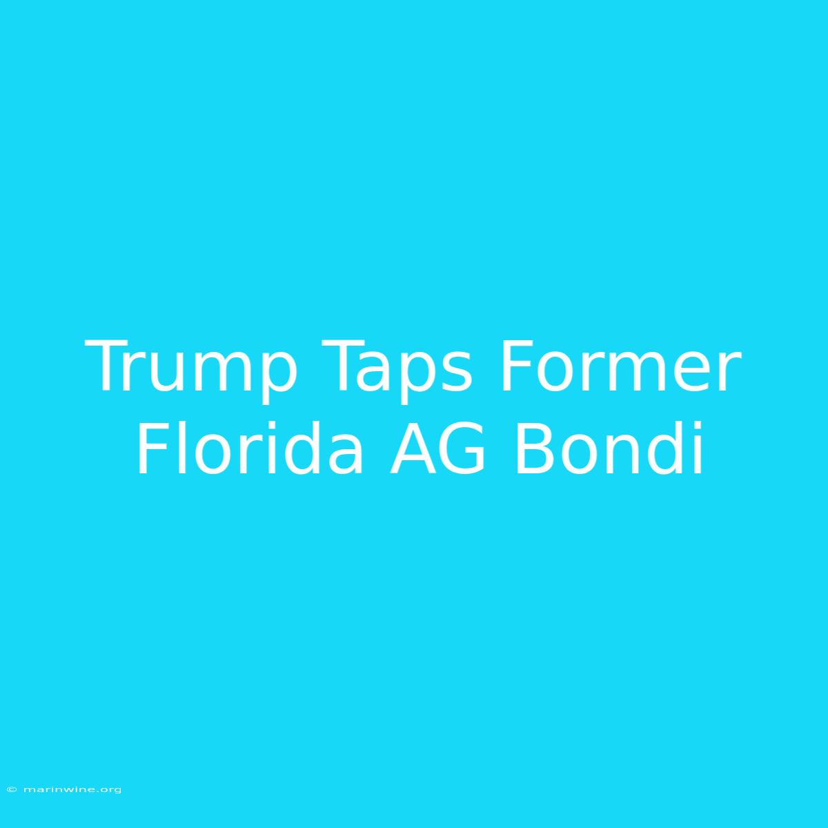 Trump Taps Former Florida AG Bondi