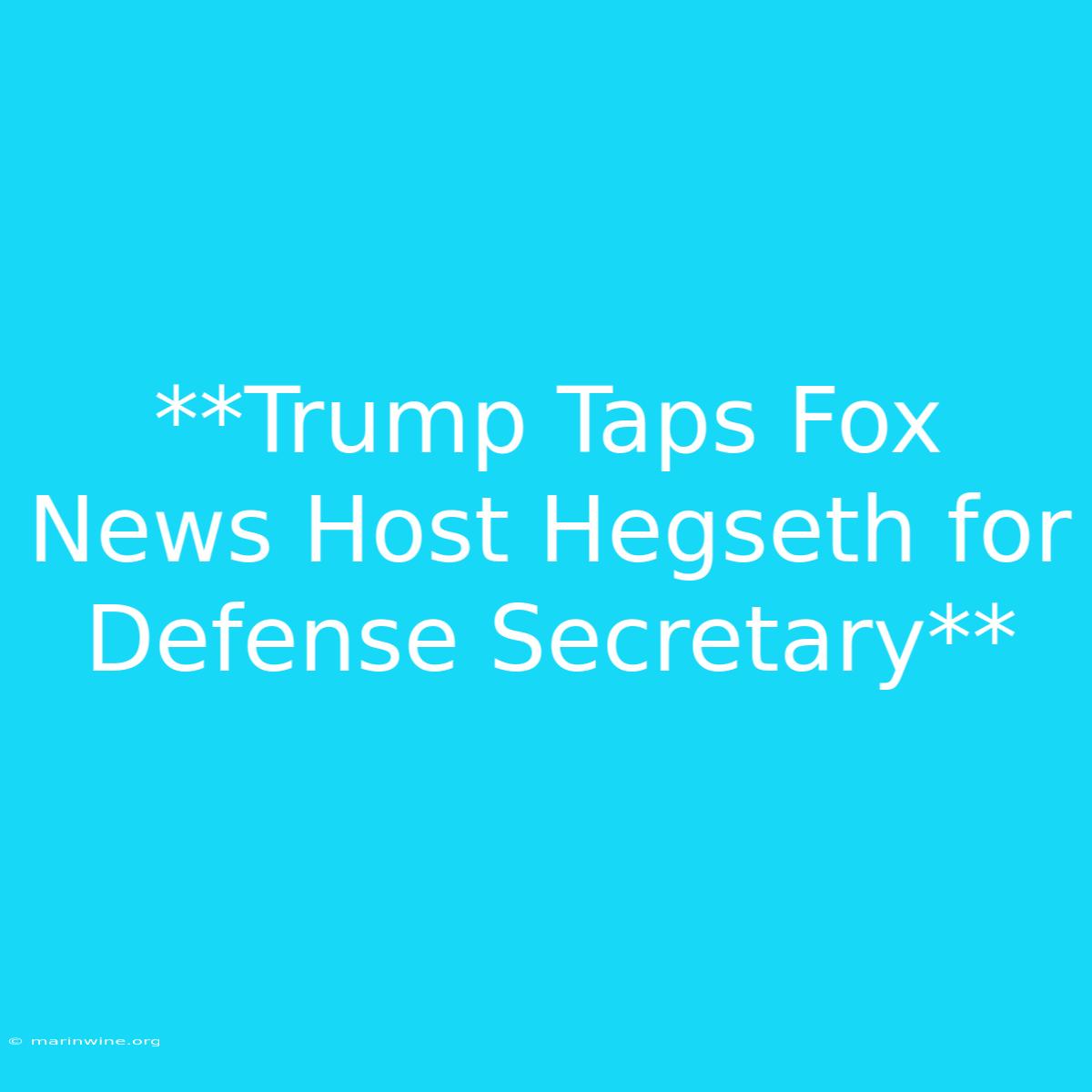 **Trump Taps Fox News Host Hegseth For Defense Secretary**