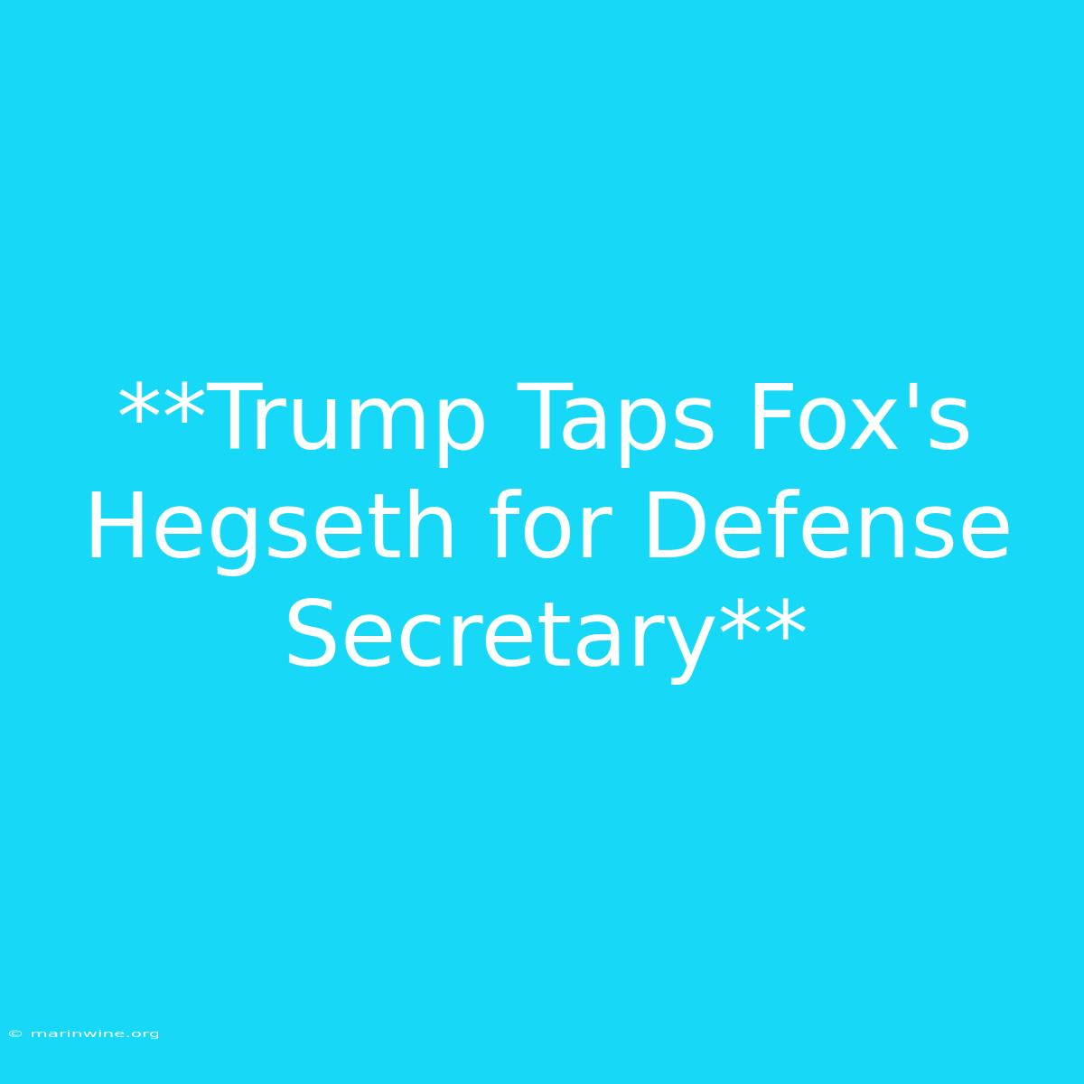 **Trump Taps Fox's Hegseth For Defense Secretary**