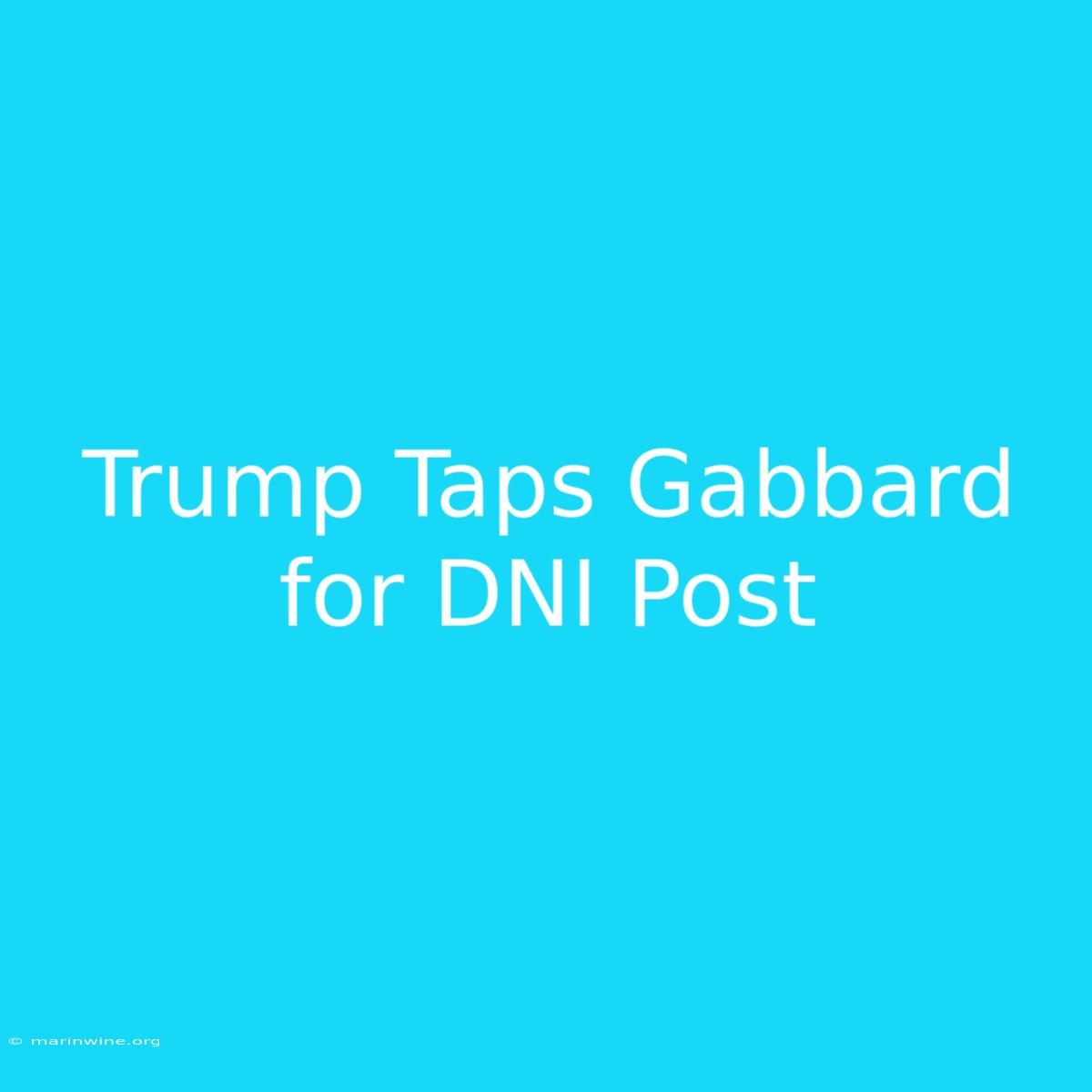 Trump Taps Gabbard For DNI Post