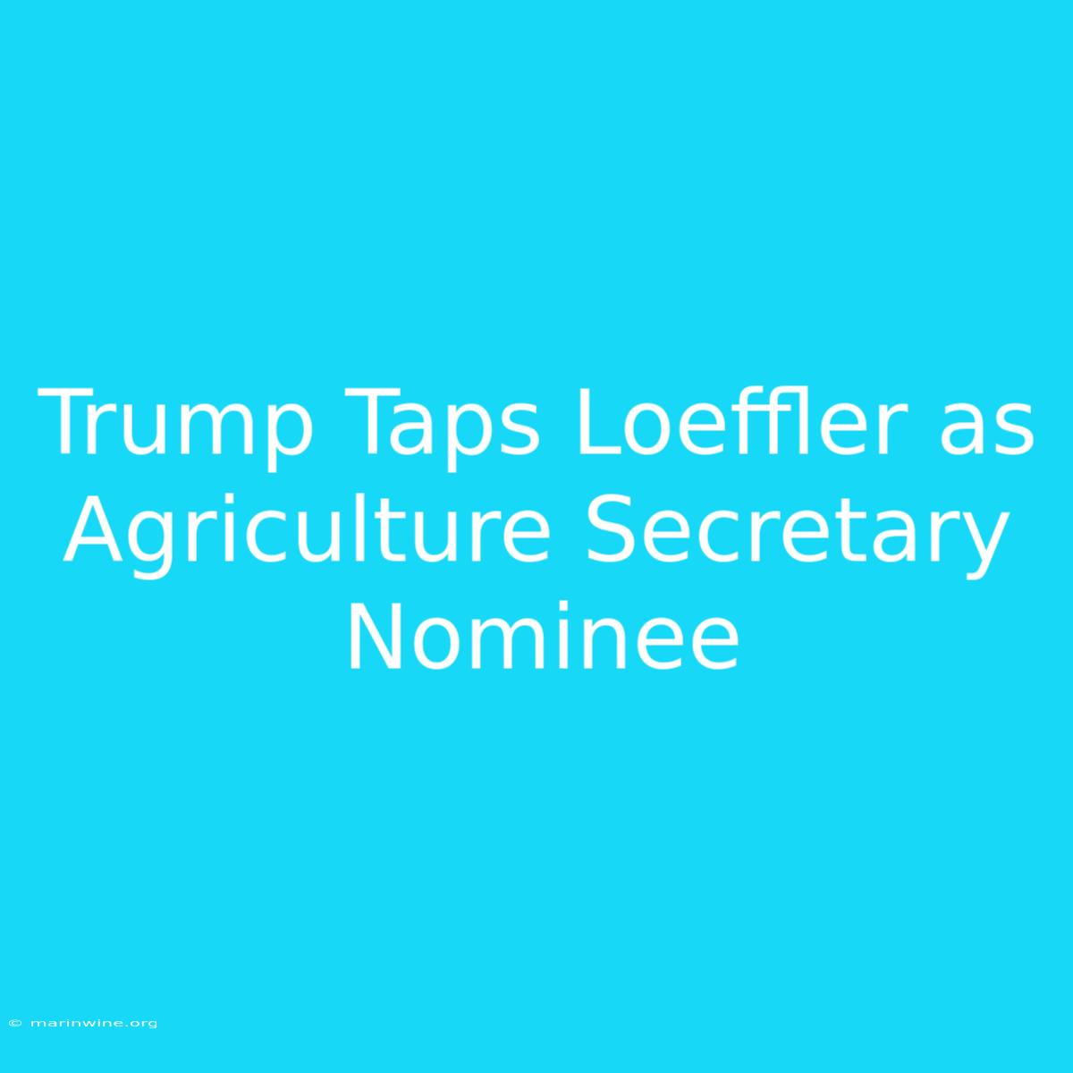 Trump Taps Loeffler As Agriculture Secretary Nominee