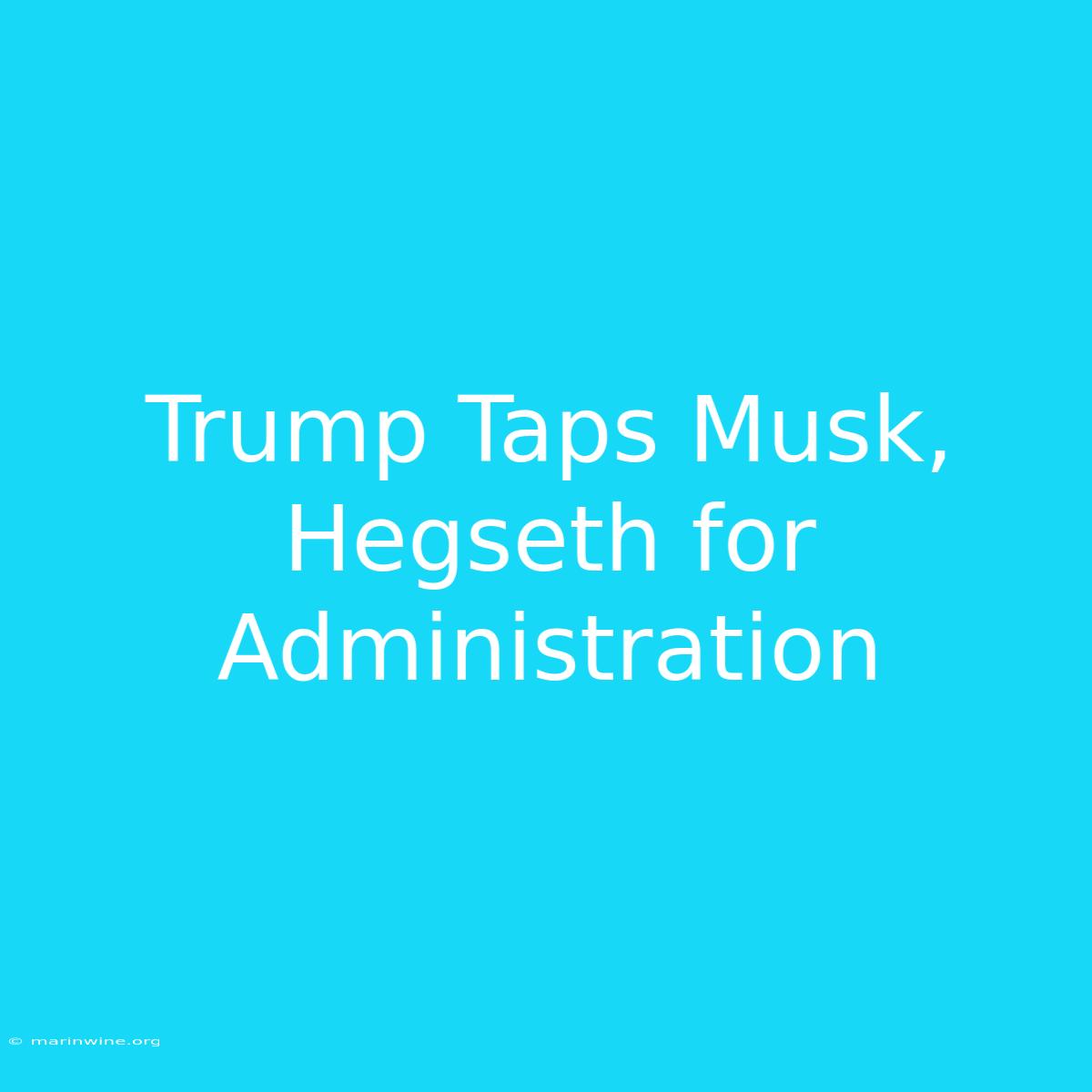 Trump Taps Musk, Hegseth For Administration 