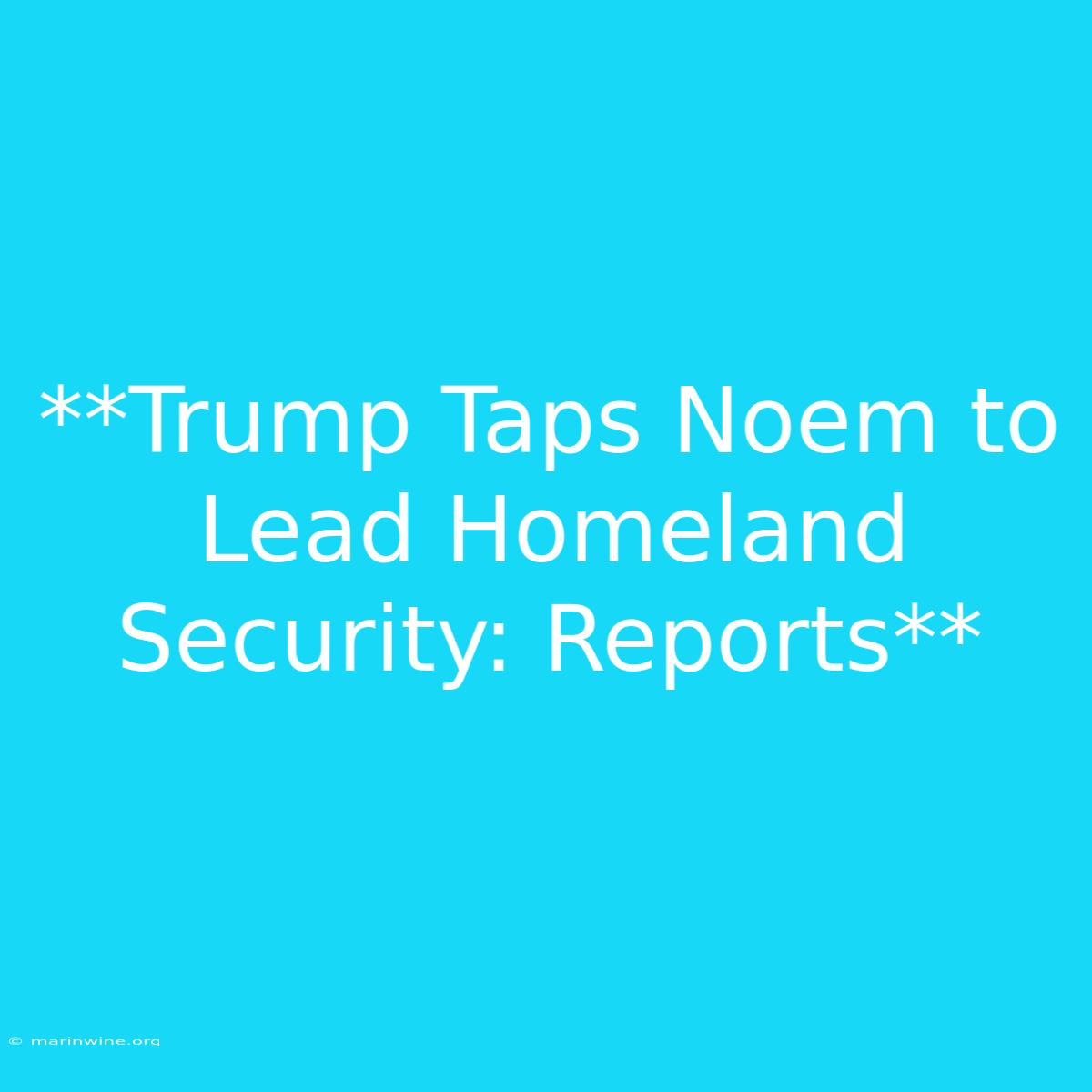 **Trump Taps Noem To Lead Homeland Security: Reports** 