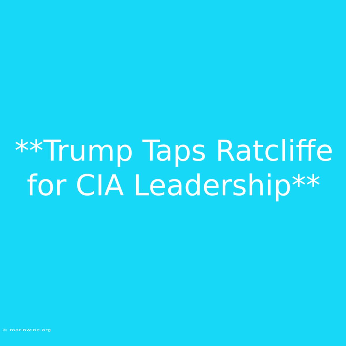 **Trump Taps Ratcliffe For CIA Leadership** 