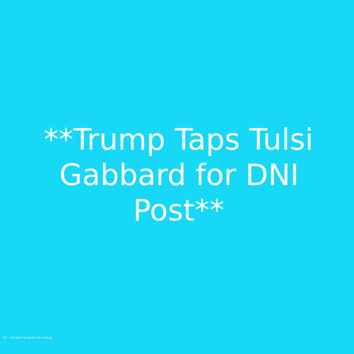 **Trump Taps Tulsi Gabbard For DNI Post**