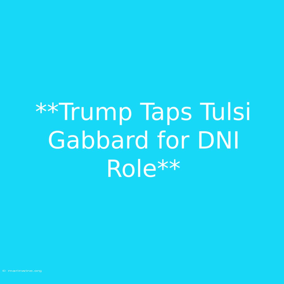 **Trump Taps Tulsi Gabbard For DNI Role** 