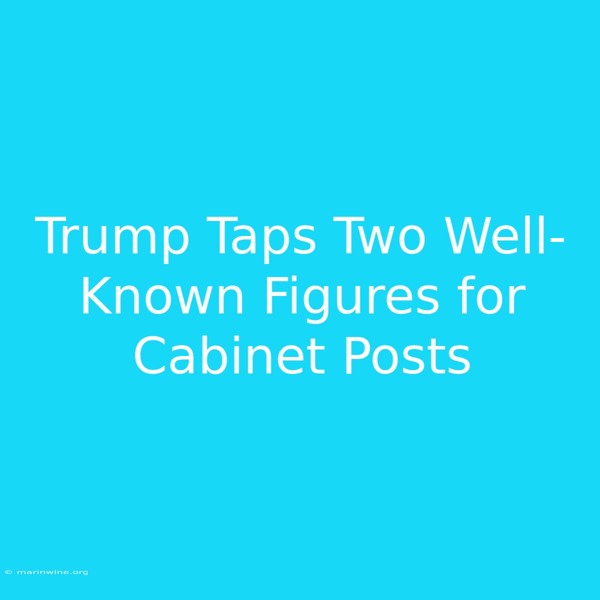 Trump Taps Two Well-Known Figures For Cabinet Posts 