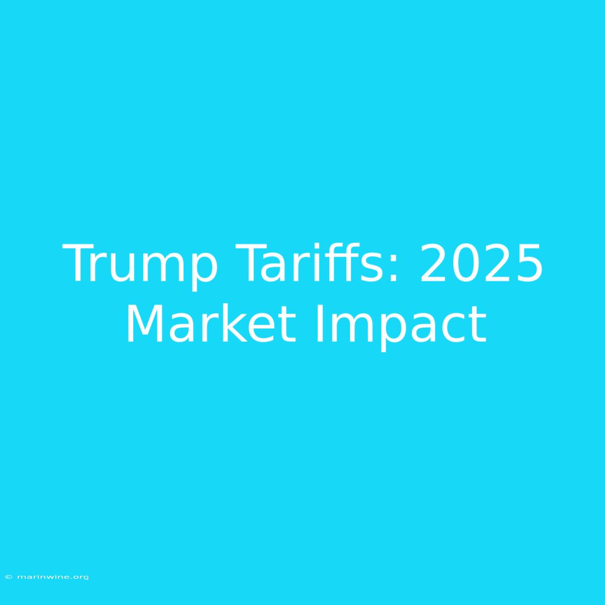 Trump Tariffs: 2025 Market Impact