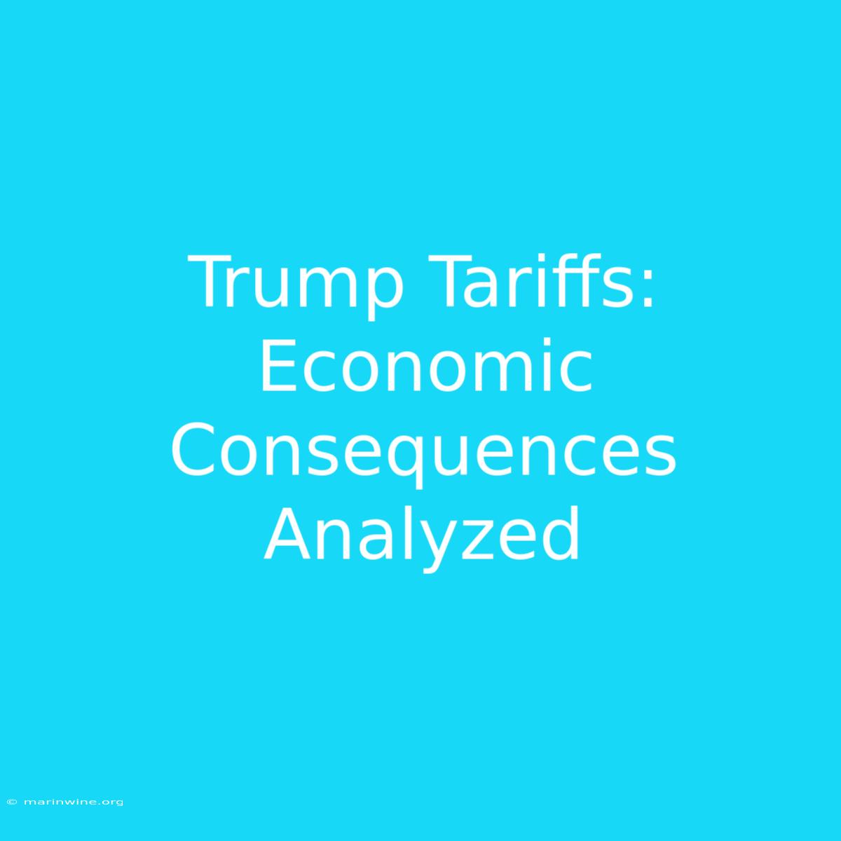 Trump Tariffs: Economic Consequences Analyzed