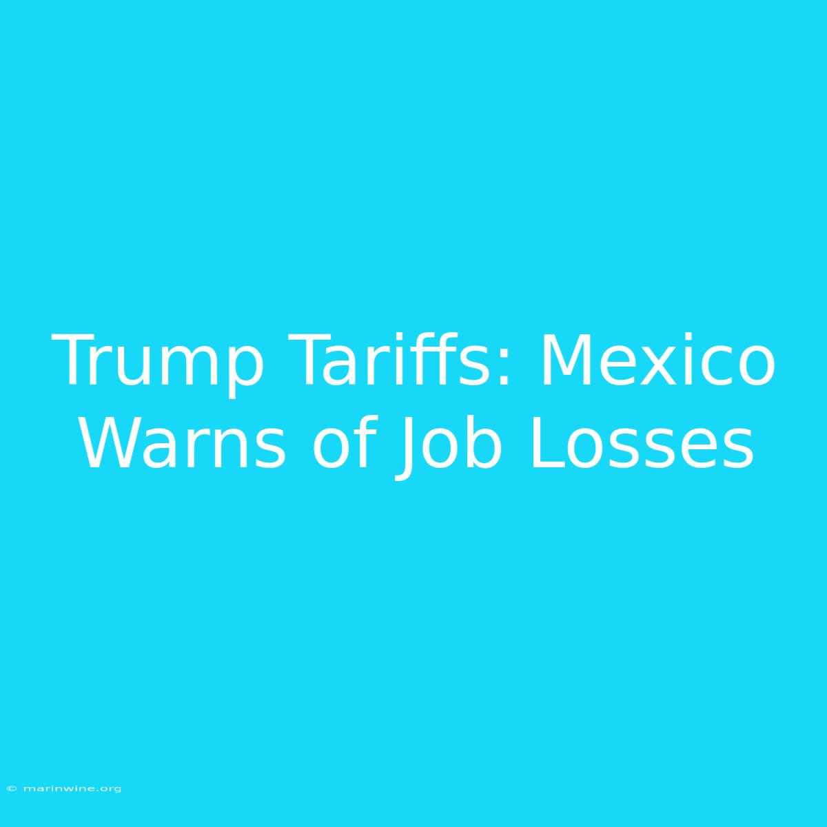 Trump Tariffs: Mexico Warns Of Job Losses