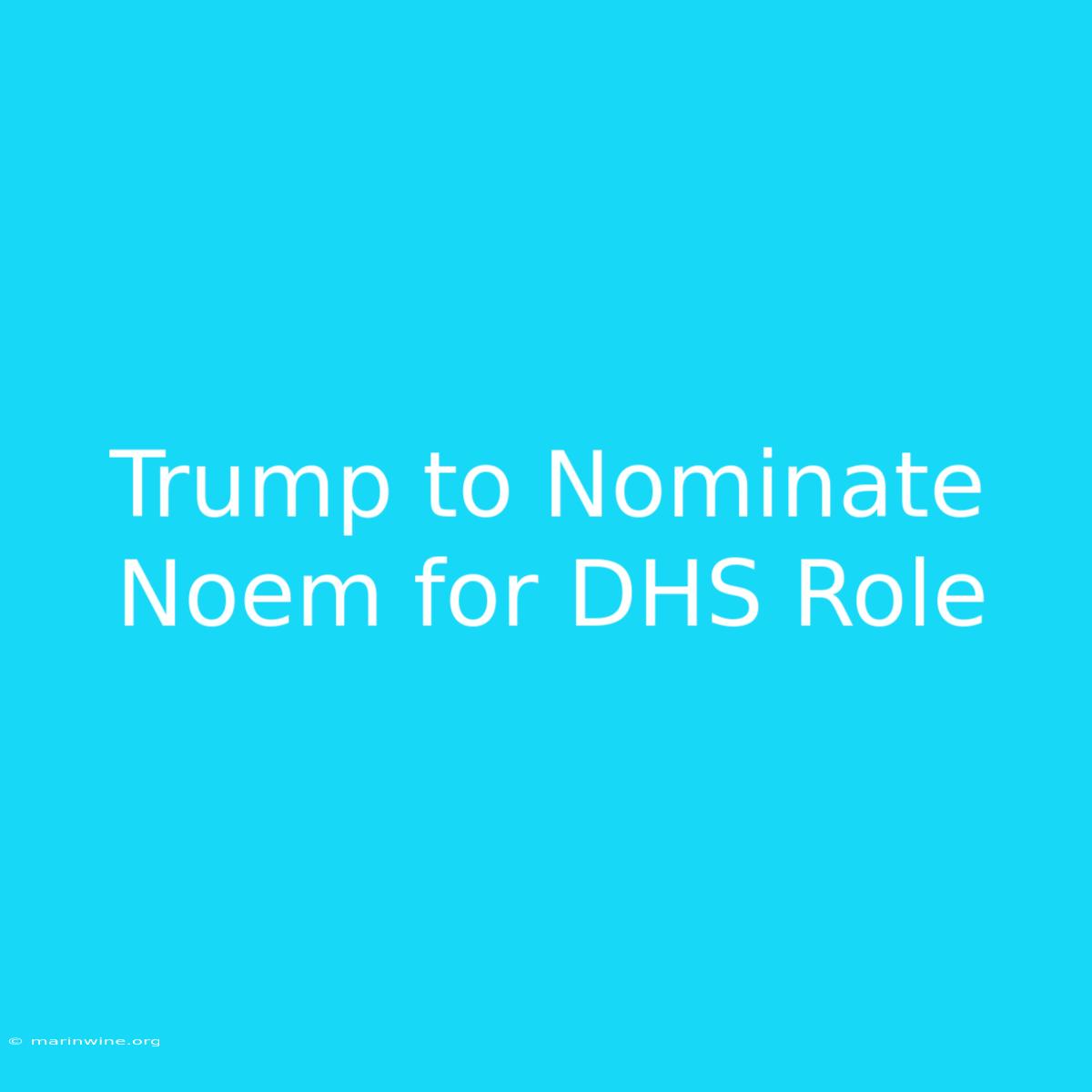 Trump To Nominate Noem For DHS Role 