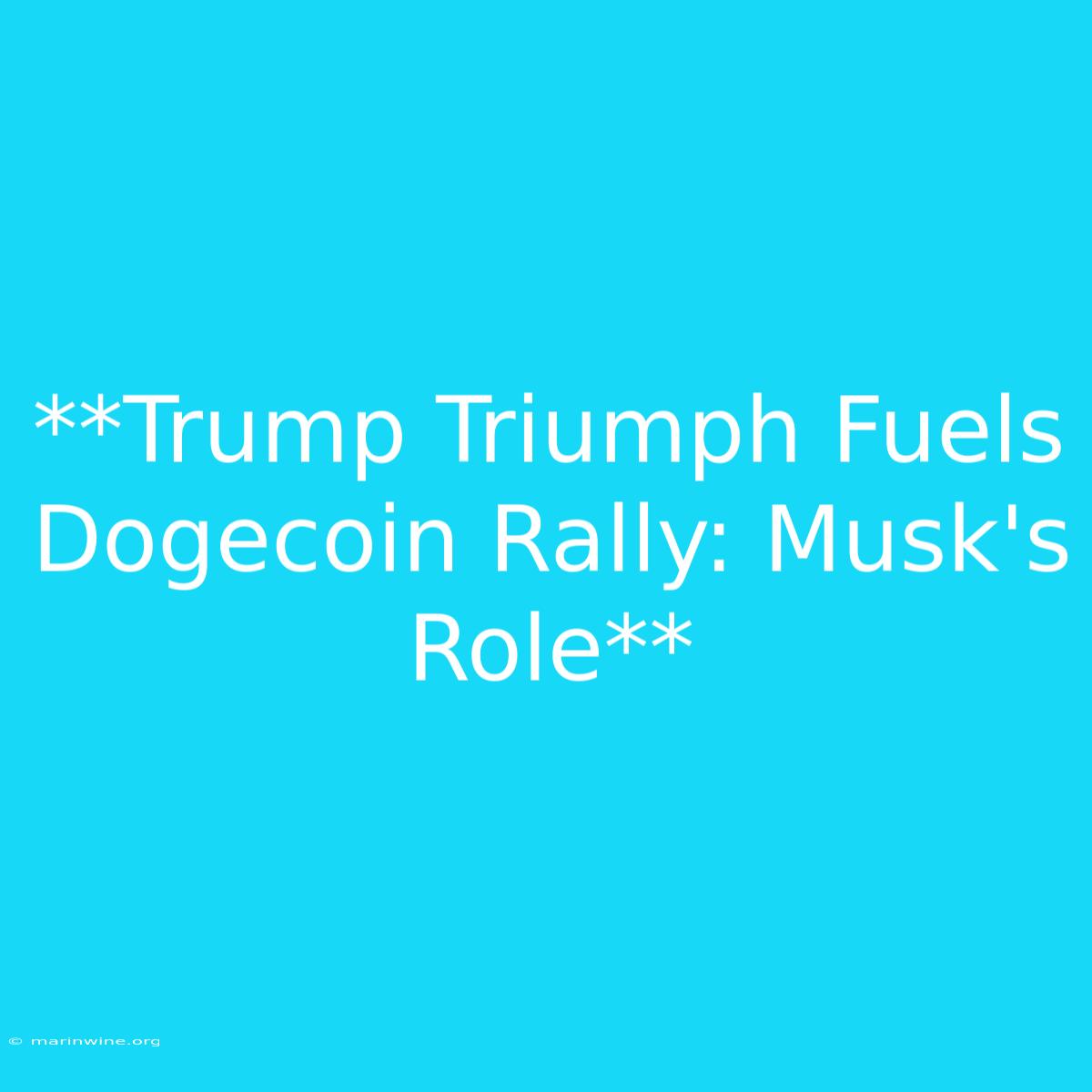 **Trump Triumph Fuels Dogecoin Rally: Musk's Role** 