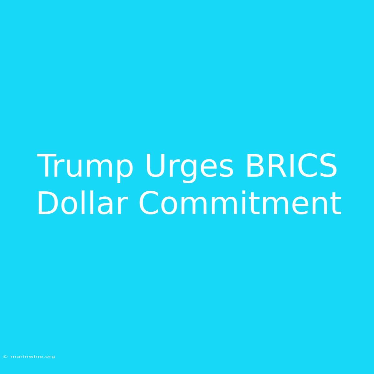 Trump Urges BRICS Dollar Commitment